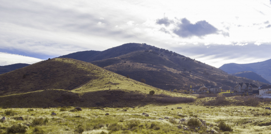 Hillside