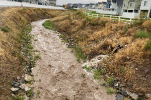 Midas Creek