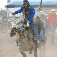 Bull rider at the Herriman PRCA Rodeo