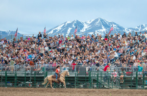 Rodeo