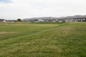 Large grassy field at Mountain Ridge Park with nearby homes in the background and mountains on the horizon.