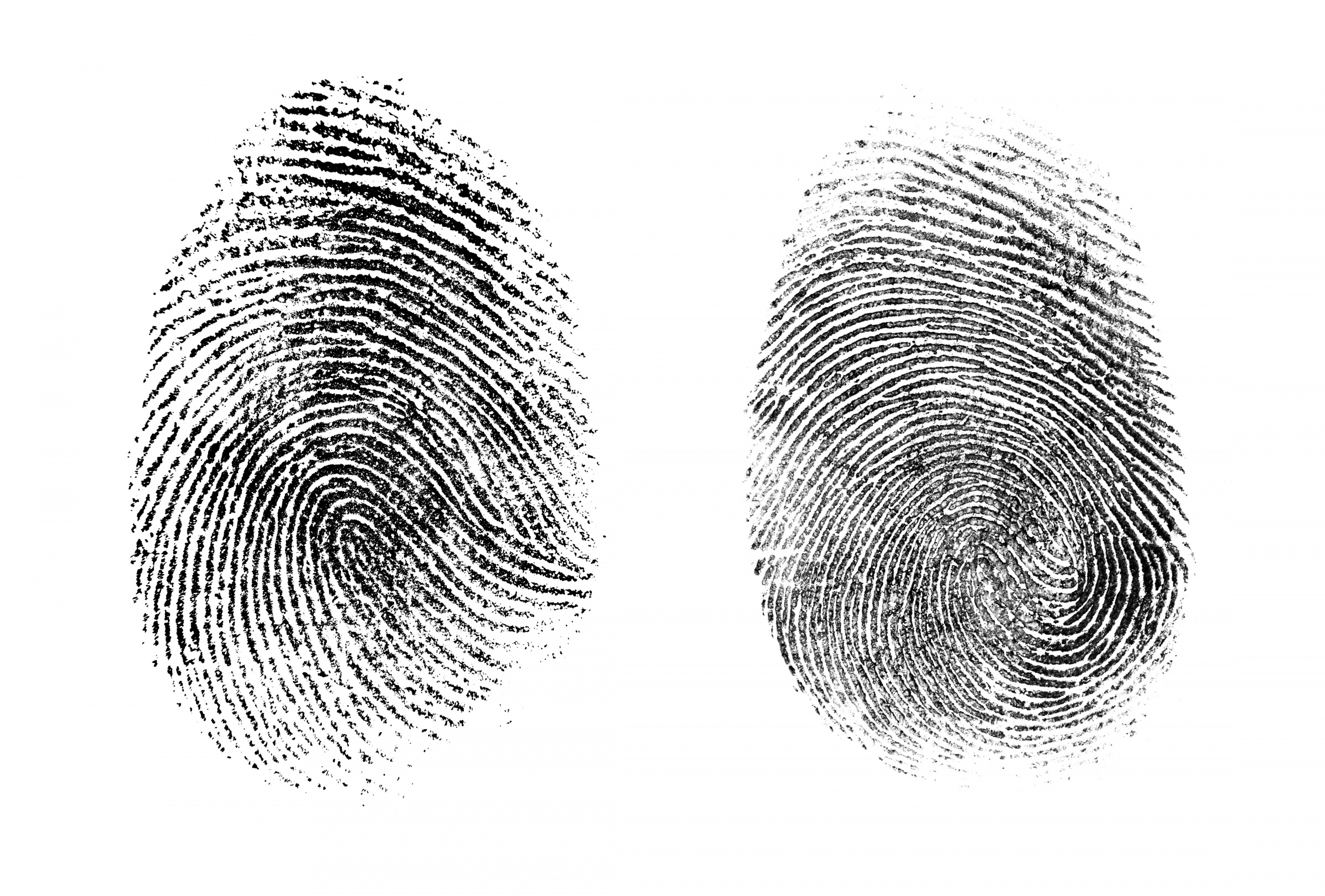 Fingerprint illustration