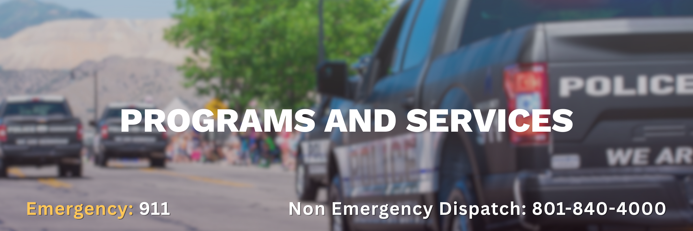 PD Programs and Services Banner