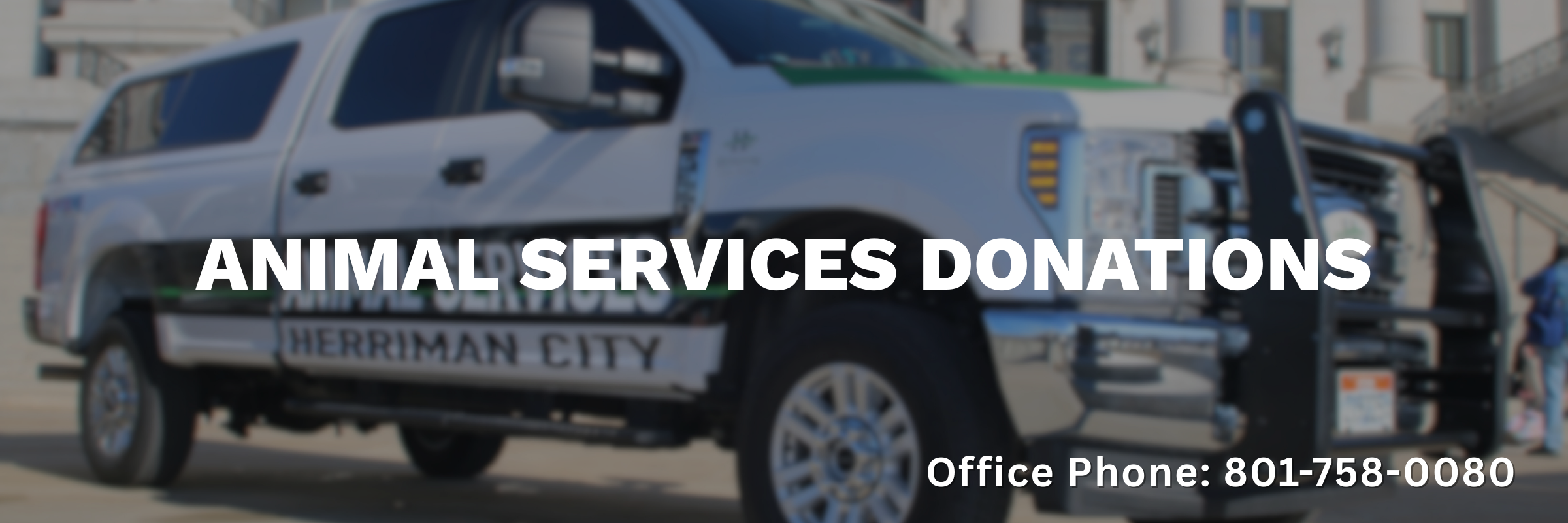 Animal Services Donations Banner
