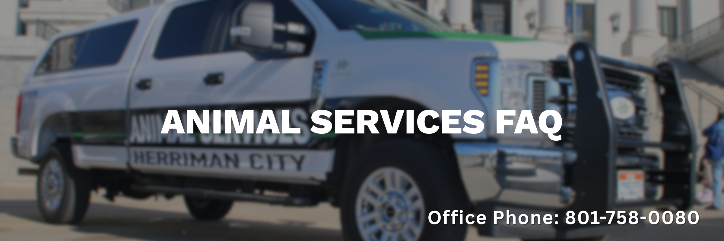 Animal Services FAQ Banner
