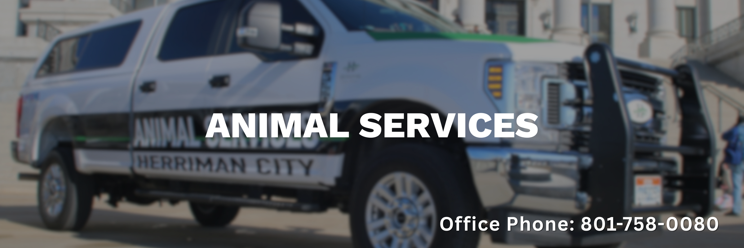 Animal Services Banner