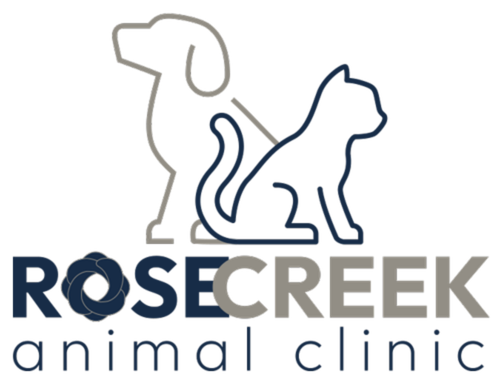 Rose Creek Animal Hospital logo