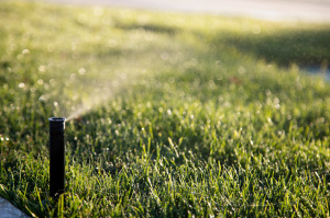 Crane Park Sprinkler